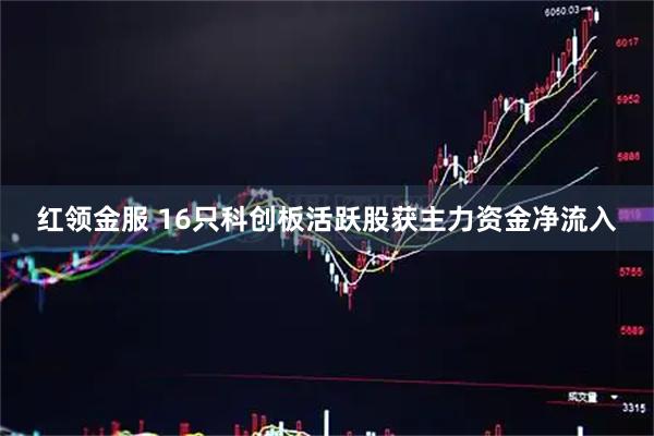 红领金服 16只科创板活跃股获主力资金净流入
