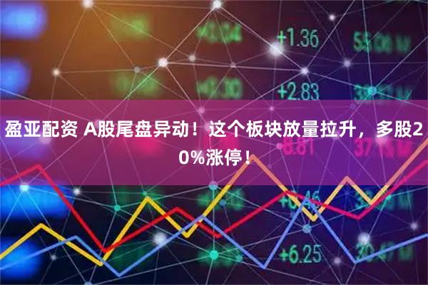 盈亚配资 A股尾盘异动！这个板块放量拉升，多股20%涨停！