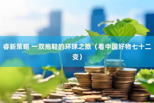睿新策略 一双拖鞋的环球之旅（看中国好物七十二变）